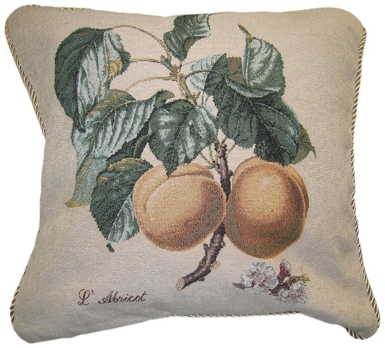 Apricot Fruit Elegant Novelty Woven Square Accent Cushion Cover Throw Toss Pillow Case -  1-Piece - 18" - Stores Basement - Discount Bedding