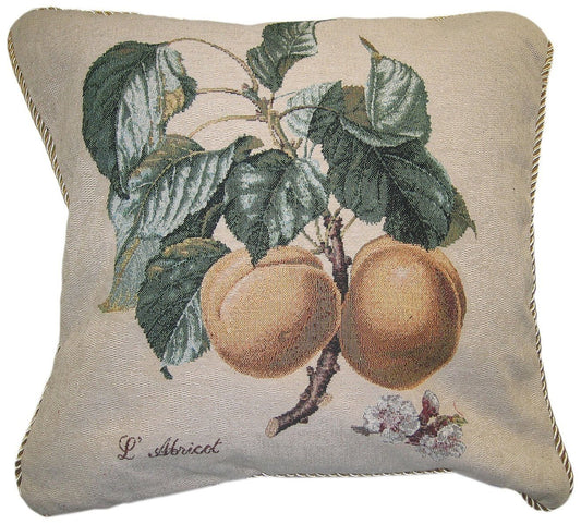 Apricot Fruit Elegant Novelty Woven Square Accent Cushion Cover Throw Toss Pillow Case -  1-Piece - 18" - Stores Basement - Discount Bedding