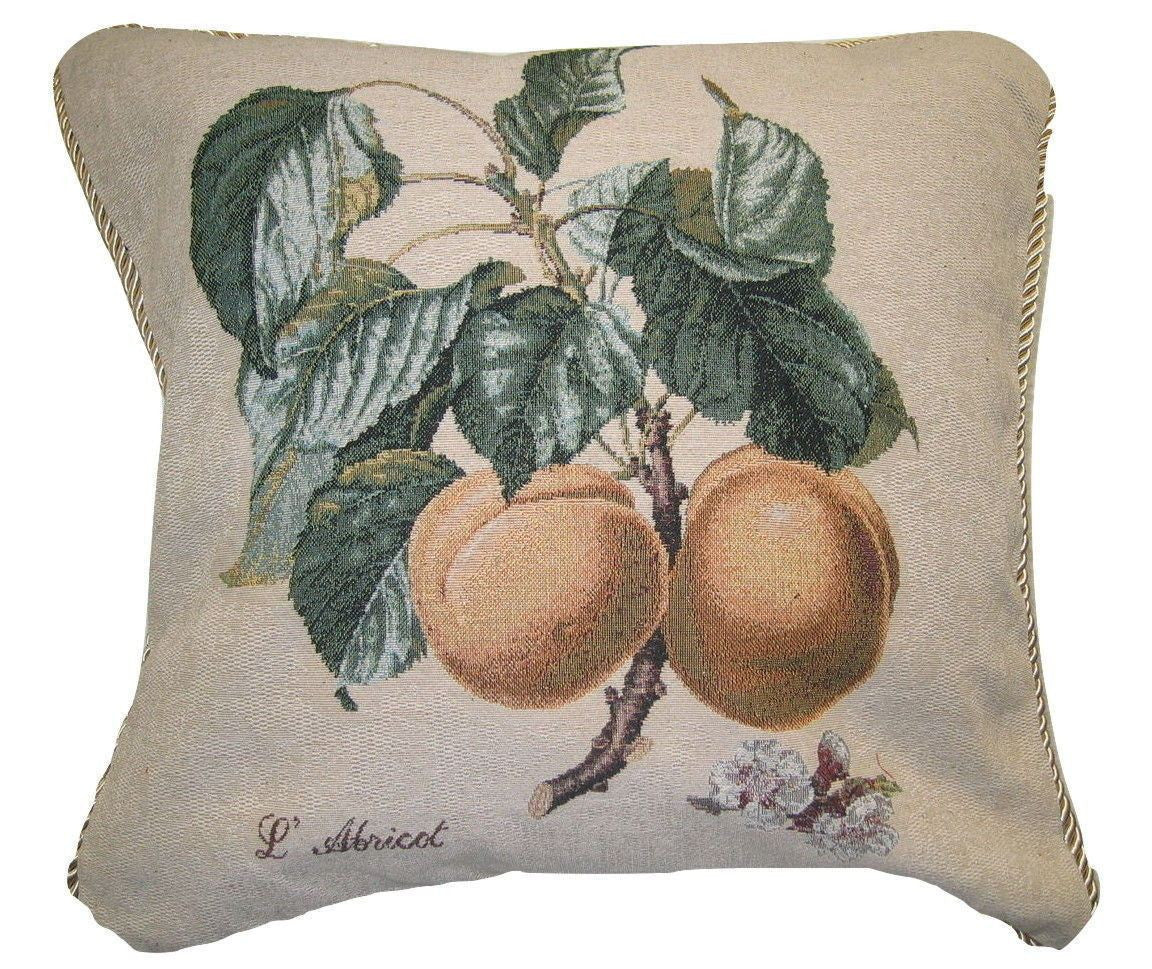 Set of Two Apricot Fruit Elegant Novelty Woven Square Throw Toss Accent Cushion Cover Pillow with Inserts - 2-Pieces - 18" x 18" (CC45X45CM313) - Stores Basement - Discount Bedding